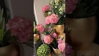 عائلة عصام ونور دياب| فاعليات عصام و نور #نور_دياب #عصام_ونور