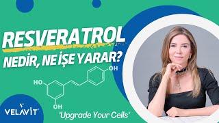 Resveratrol nedir,  ne işe yarar? #ayşegülçoruhlu #işbirliği
