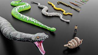 Big Snake Size Comparison #animation #animals