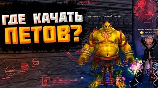 ГДЕ КАЧАТЬ ПЕТОВ ДРУИДУ В ПВ? COMEBACK PW 1.3.6 PERFECT WORLD