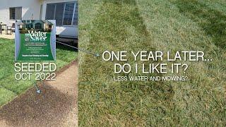 WaterSaver Rhizomatous Tall Fescue 1 Year Review