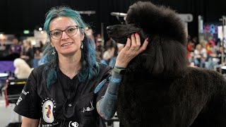 Paula Buru at Groomania: Top Poodle Grooming Tips with Show Tech, Yento, and Tikima!