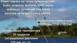 Реальная рыбалка/ Карась /Карасевый пруд