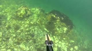GOPR0183