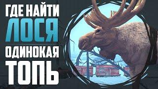 ГДЕ НАЙТИ ЛОСЯ (ОДИНОКАЯ ТОПЬ) | THE LONG DARK