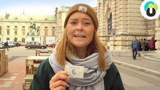 STÄDTETRIP WIEN - die besten TIPPS & SEHENSWÜRDIGKEITEN | Lari auf Safari