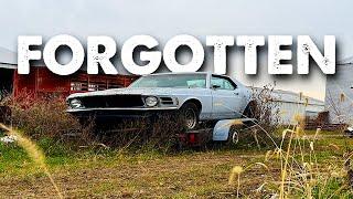 FORGOTTEN 1970 Mustang WILL IT RUN and drive 400 miles home after 20 years!