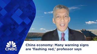 China economy: Many warning signs are 'flashing red,' professor says