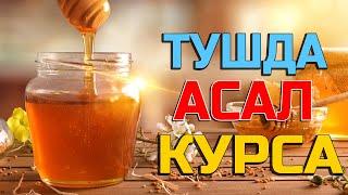 Тушда Асал курса - Tushda Asal ko'rsa