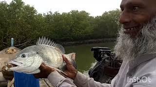 Harjina to jheel wali | fishing trip| mangrove fishing | good size snapper| dentex | Goliath grouper