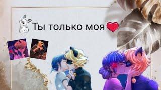 (18+) Переписка Леди Баг и Супер-Кот "Ты только моя!" 1 часть. Конец.