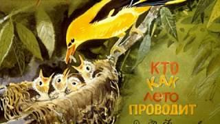 747. Кто как лето проводит (1988 год)