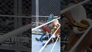 Naomi is getting creative tonight  #SurvivorSeries #WarGames