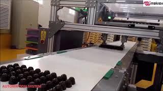 MAKREV Single Twist Wrapping Machine with Cartesian Robot Automation