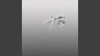 Night Swimmer
