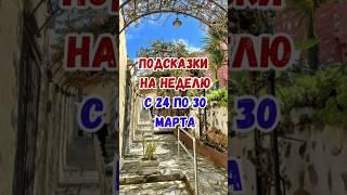 Подсказки на неделю с 24 марта #подсказкинанеделю #екатеринасерватович #изменяемжизнь
