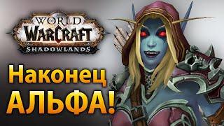 Shadowlands АЛЬФА! Новые зоны, способности, таланты и PvP торговцы! Blizzard исправляется?