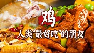 吃“鸡”最高境界：鸡有鸡味！手撕鸡 辣子鸡 酒糟鸡......百鸡百味 你的味蕾能分清多少种鸡？ | 美食中国 Tasty China