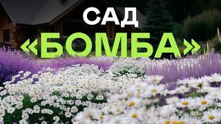 10 РАСТЕНИЙ КОТОРЫМ ВООБЩЕ НЕ НУЖЕН УХОД!