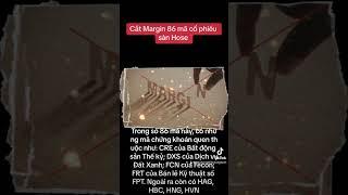 Cắt Margin 86 mã cổ phiếu sàn Hose #anhtuantran #chungkhoan #taichinh #investwith #dautu #dig #trade