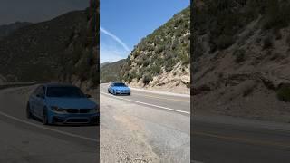 F80 M3 Downshifts! #bmw #f80 #bmwf80