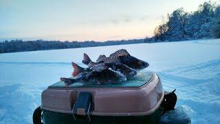 Ловля окуня на блесну зимой. Крупный окунь. Зимняя блесна для ловли окуня. Поиск окуня. 22.01.2019