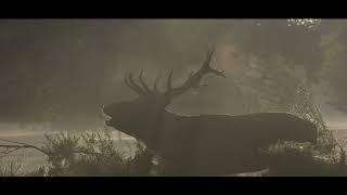 Welcome to The Wildlife Trust of South and West Wales' YouTube Channel!