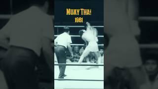 The Insane History of Muay Thai Kickboxing