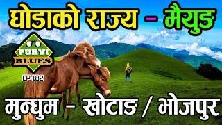 घोडाले राज्य गर्ने मैयुङ डाडाँ || जनावर मात्र भेटिने स्थान  Mundhum Trail Khotang Bhojpur || Maiyung