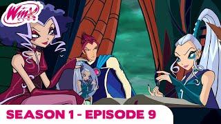 Winx Club - Season 1 Episode 9 - Betrayed! - [FULL EPISODE]