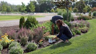 Planting 3 Varieties of Sedum! Tough, Low Maintenance, Heat-Loving Plants! ️ // Garden Answer