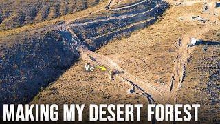 Fixing My Desert Dams