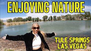 Tule Springs Las Vegas - A Fun Day in the Park Enjoying Nature