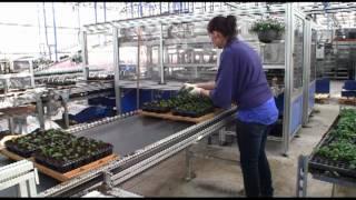 Wouters Nursery Part 1.mov