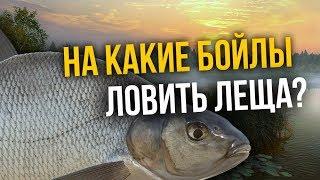 РУССКАЯ РЫБАЛКА 4. На какие бойлы можно половить Леща?