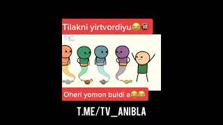 anibla tv 3 tilak