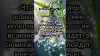 ️baba_ninay Телеграмм | Заговор | Магия Жизни |#shorts#tiktok #приметы#magic#помощь#советы#заговоры
