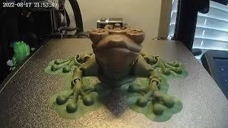the Flexi frog princess time-lapse