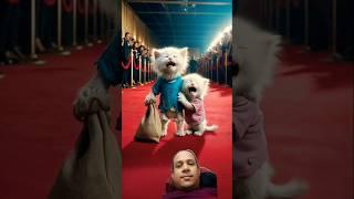 Mocked For Wearing Torn Clothes To Party #pets #skmg