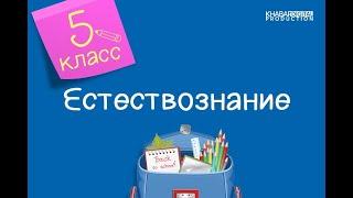 Естествознание. 5 класс. Компоненты экосистемы. Виды экосистемы /13.04.2021/