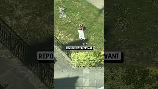 Tanning VS crane ️️                       : CONTENTbible