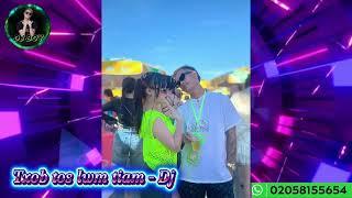 Txob Tos Lwm Tiam - Vinahoues ( Remix Dj Boy )#เพลงฮิตในtiktok 
