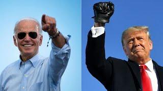 Trump Lawsuits Won't Change Election Outcome: Professor