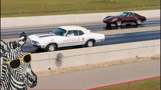 1974 Corvette vs 1970 Olds Pace Car | Pure STOCK DRAG RACE | CARS AND ZEBRAS