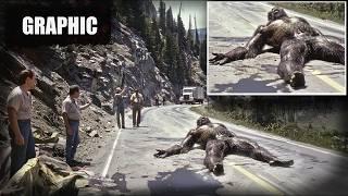 SASQUATCH ROADKILL? | Giant Bigfoot Creature Hit By Semi Truck At 70 MPH | #bigfoot 2024