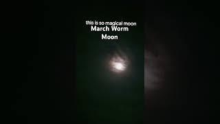 15 March 2025- Worm Full Moon above the dark sky #cleansingritual #wormmoon #fullmoon #march2025