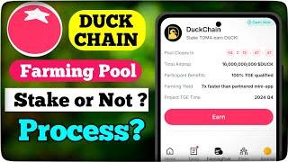 Tomarket DuckChain Farming Pool || Toma Stake or Not ? || Toma Staking Process || Collect Egg 