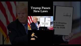 Trump passes new Laws!‍️ #rock #wtf #funny #lmao #omg #viral #law #president #trump #boy
