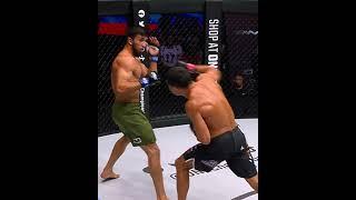 Halil Amir's path of DESTRUCTION in ONE thus far 