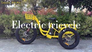 China best electric tricycle manufacturer